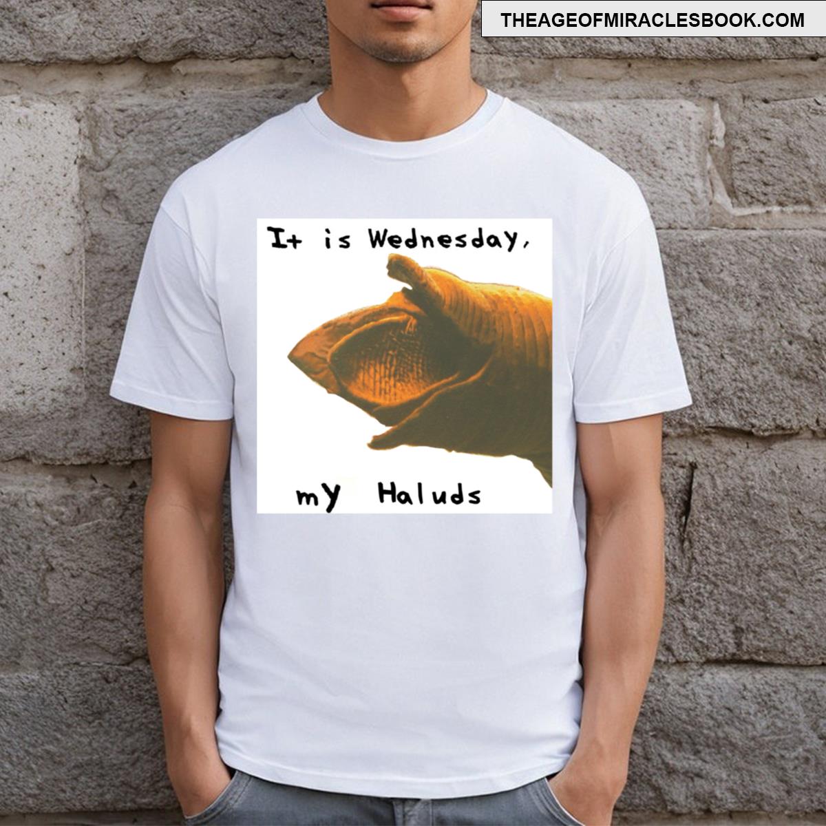 It Is Wednesday My Haluds T-shirt
