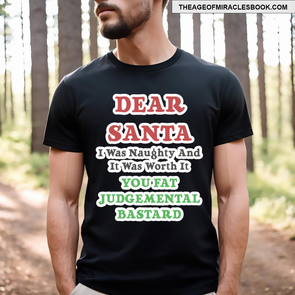 Funny Santa Joke T-shirt