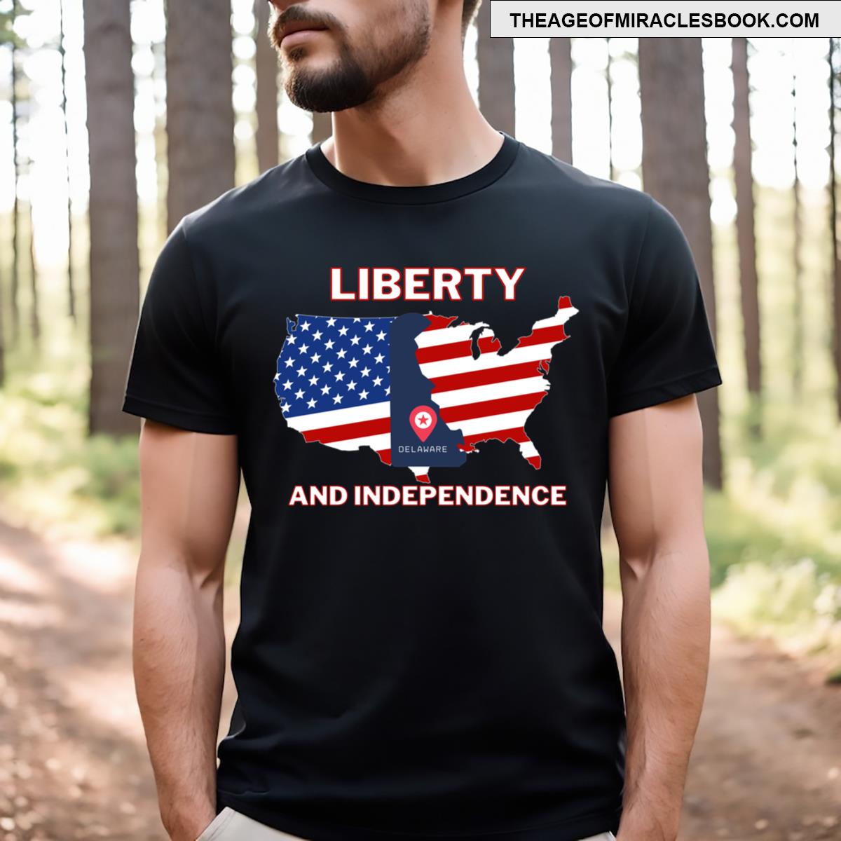 Delaware T-shirt