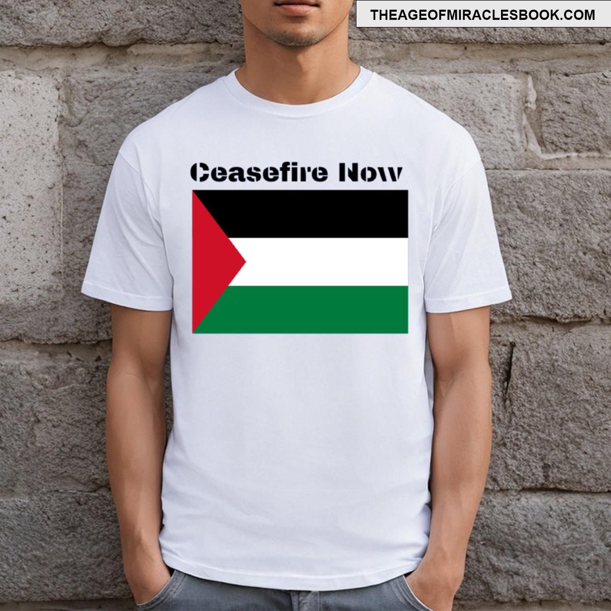 Ceasefire Now T-shirt