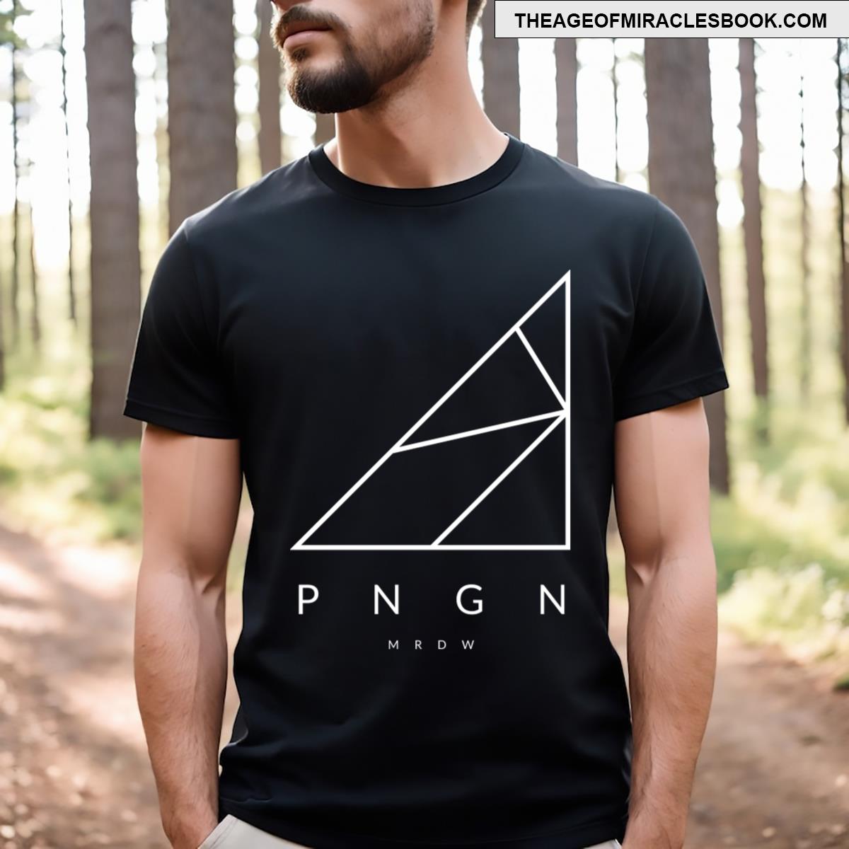 Pngn Geometric Penguin T-shirt