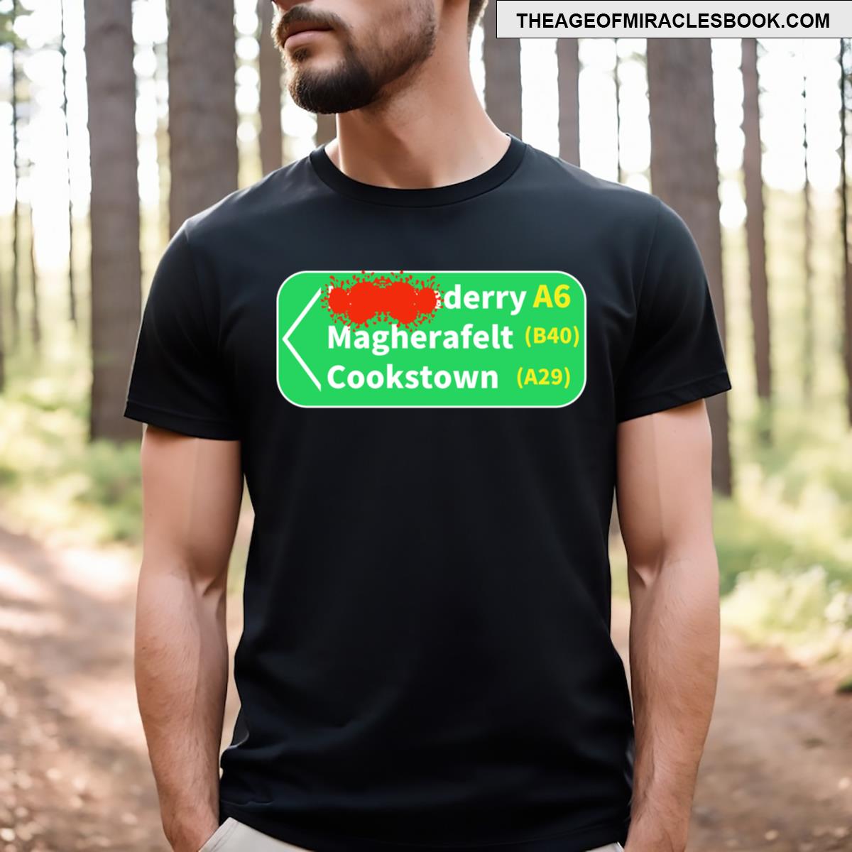 Derry Road Sign T-shirt