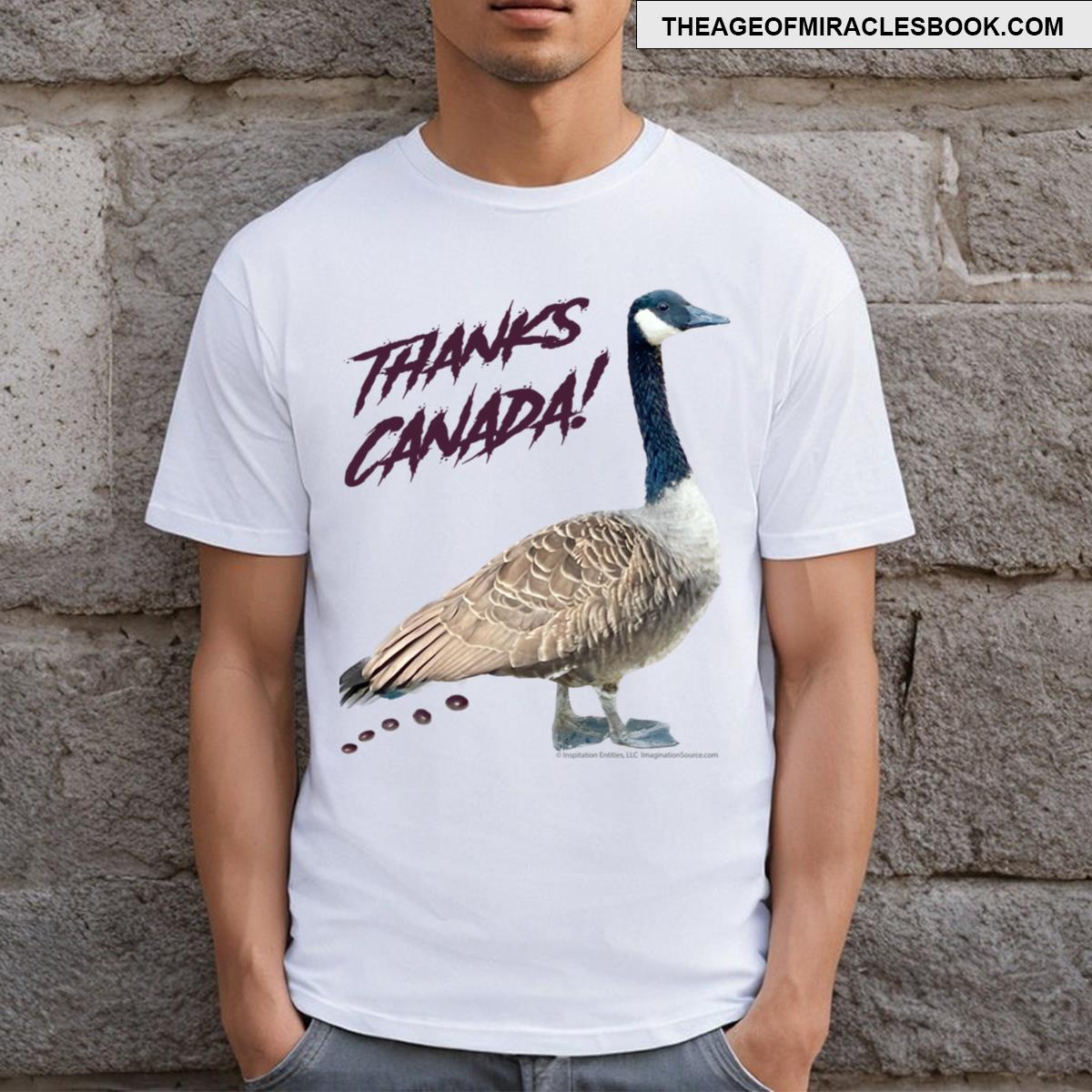 Thanks Canada! For Light Backgrounds T-shirt