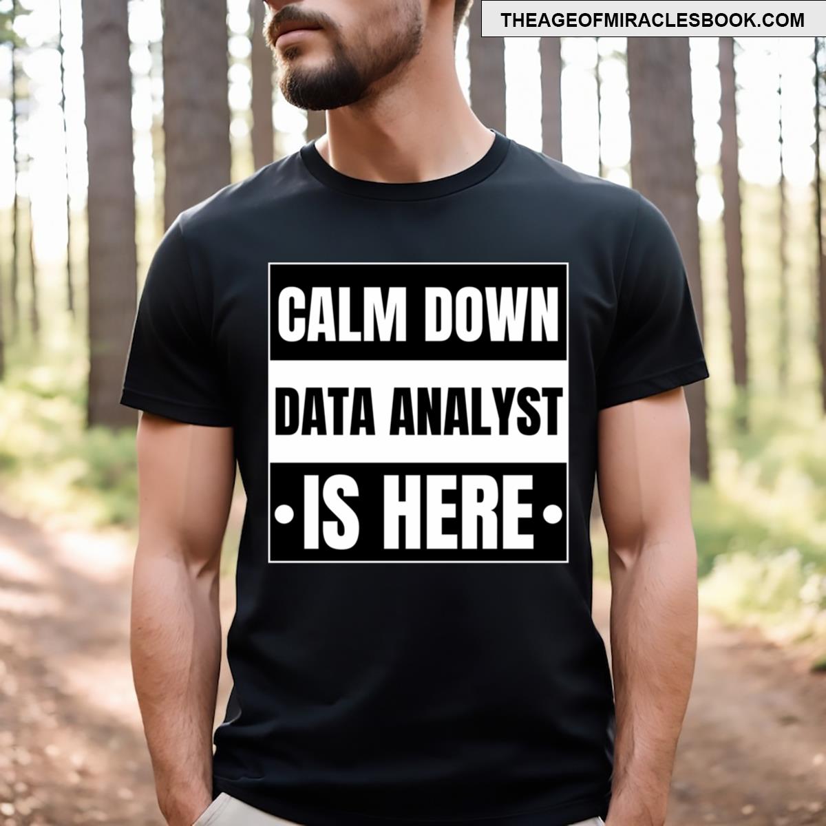 I’m A Data Analyst Calm Down Data Analyst Is Here T-shirt