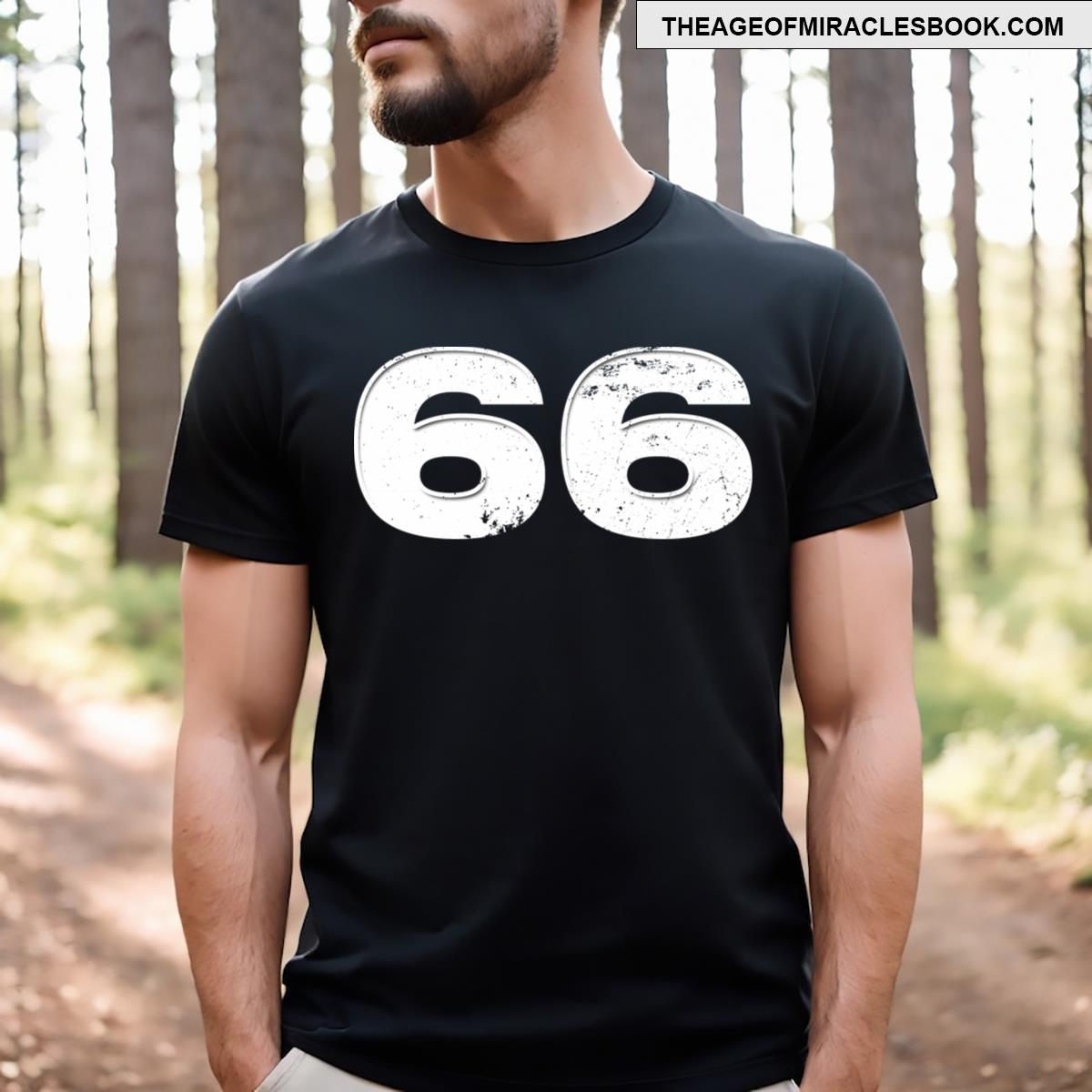 66 Vintage Cracked T-shirt