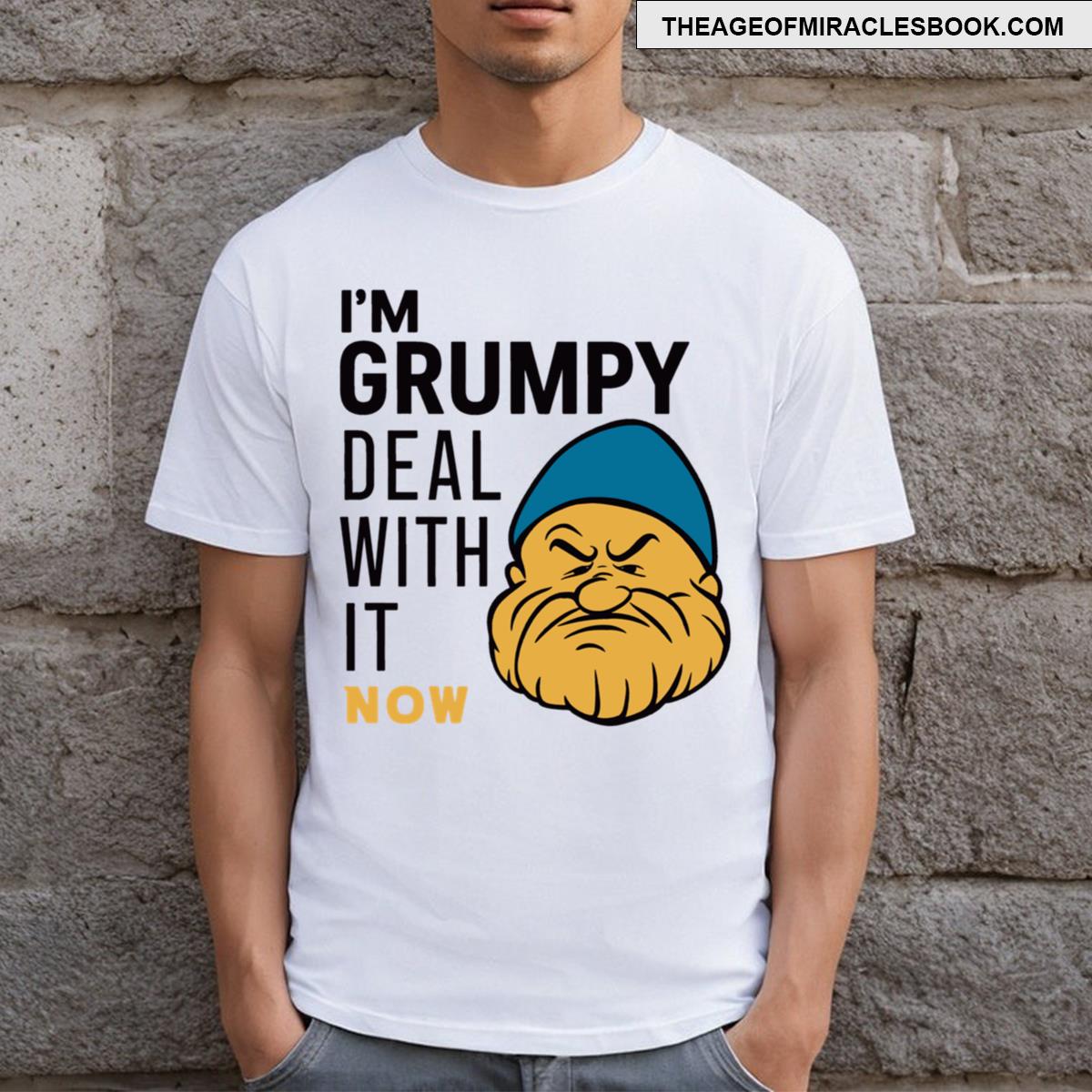 Grumpy Honest Deal With It! V Neck T-shirt