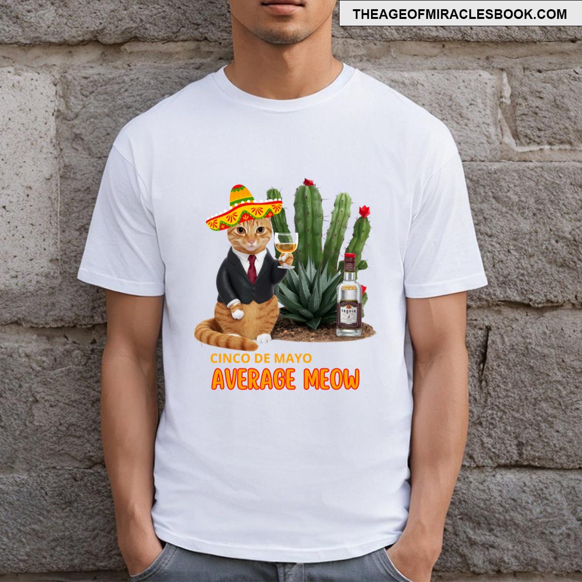 Cinco De Mayo Party T-shirt