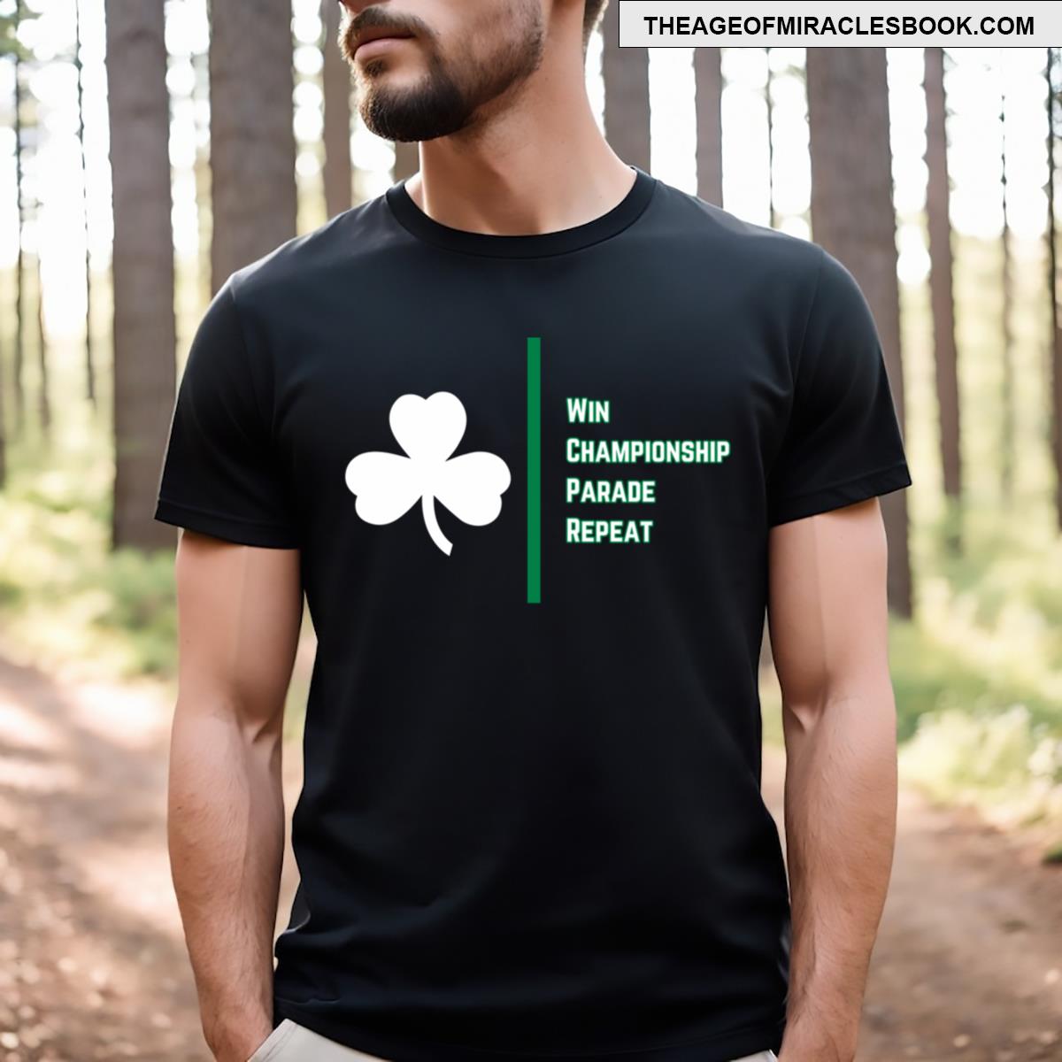 Boston Celtics Win Schedule T-shirt