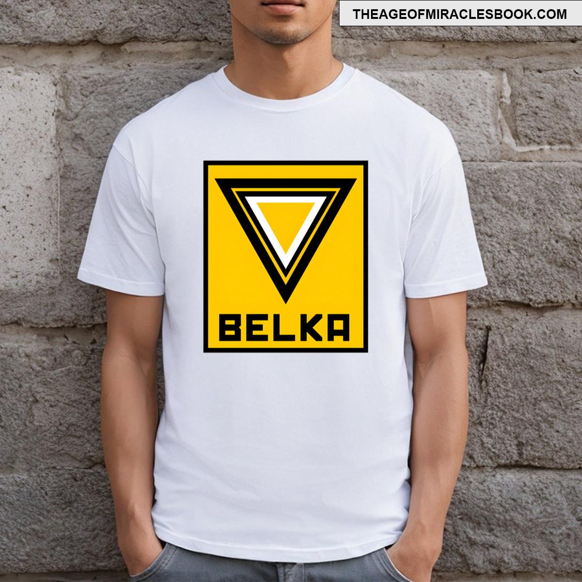 Ace Combat Belka Roundel T-shirt