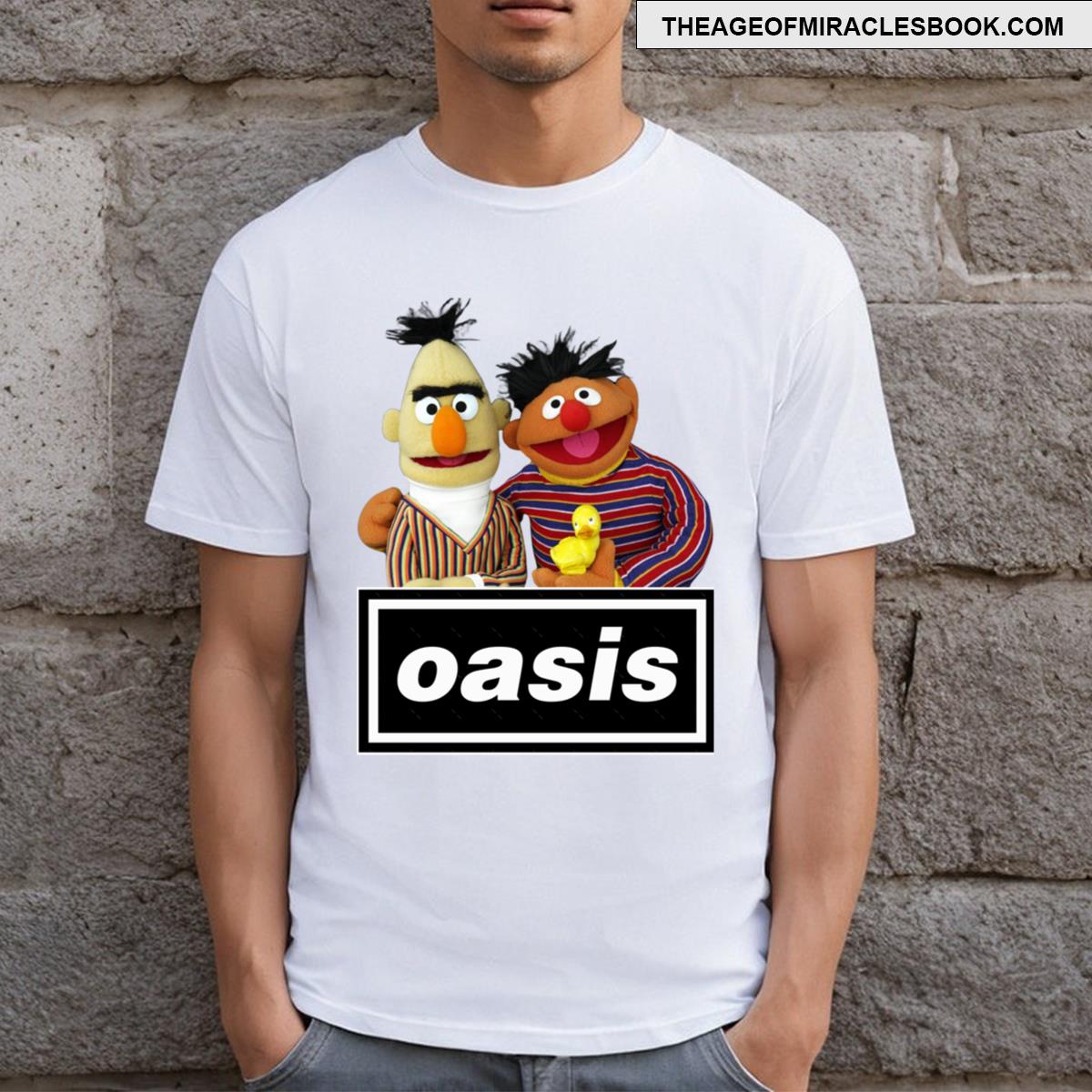 Oasis Bert And Ernie Meme T-shirt