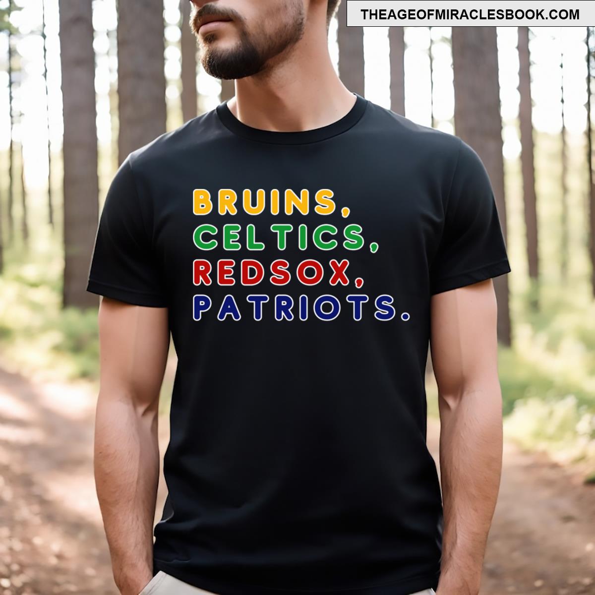 Boston Sport Team Essential T-shirt