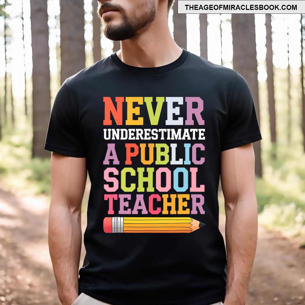 Never Underestimate A Public School Teacher T-shirt