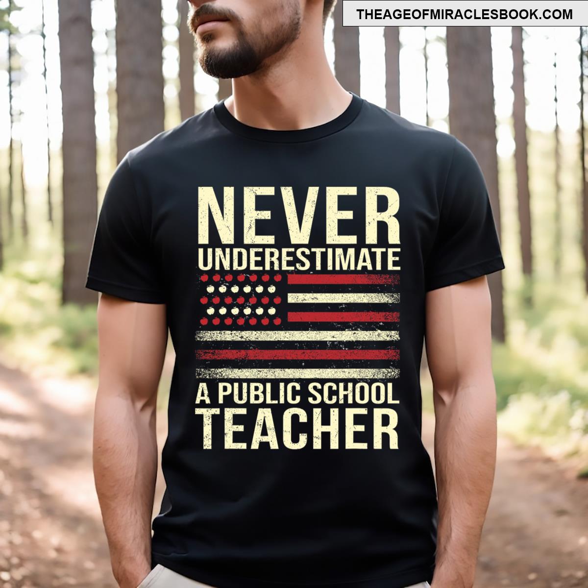 Never Underestimate A Public School Teacher T-shirt