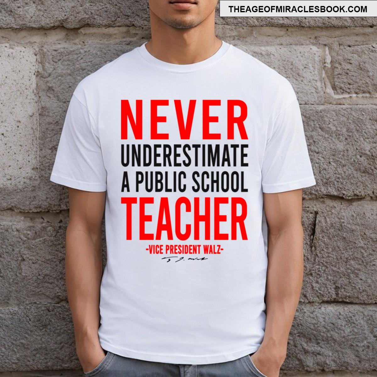 Never Underestimate A Public School Teacher T-shirt