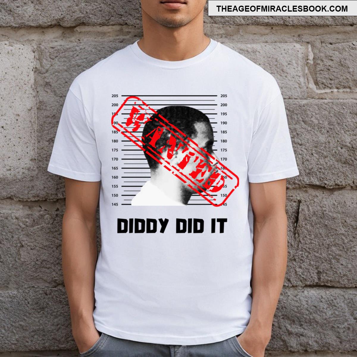 Diddy Did It 4 T-shirt