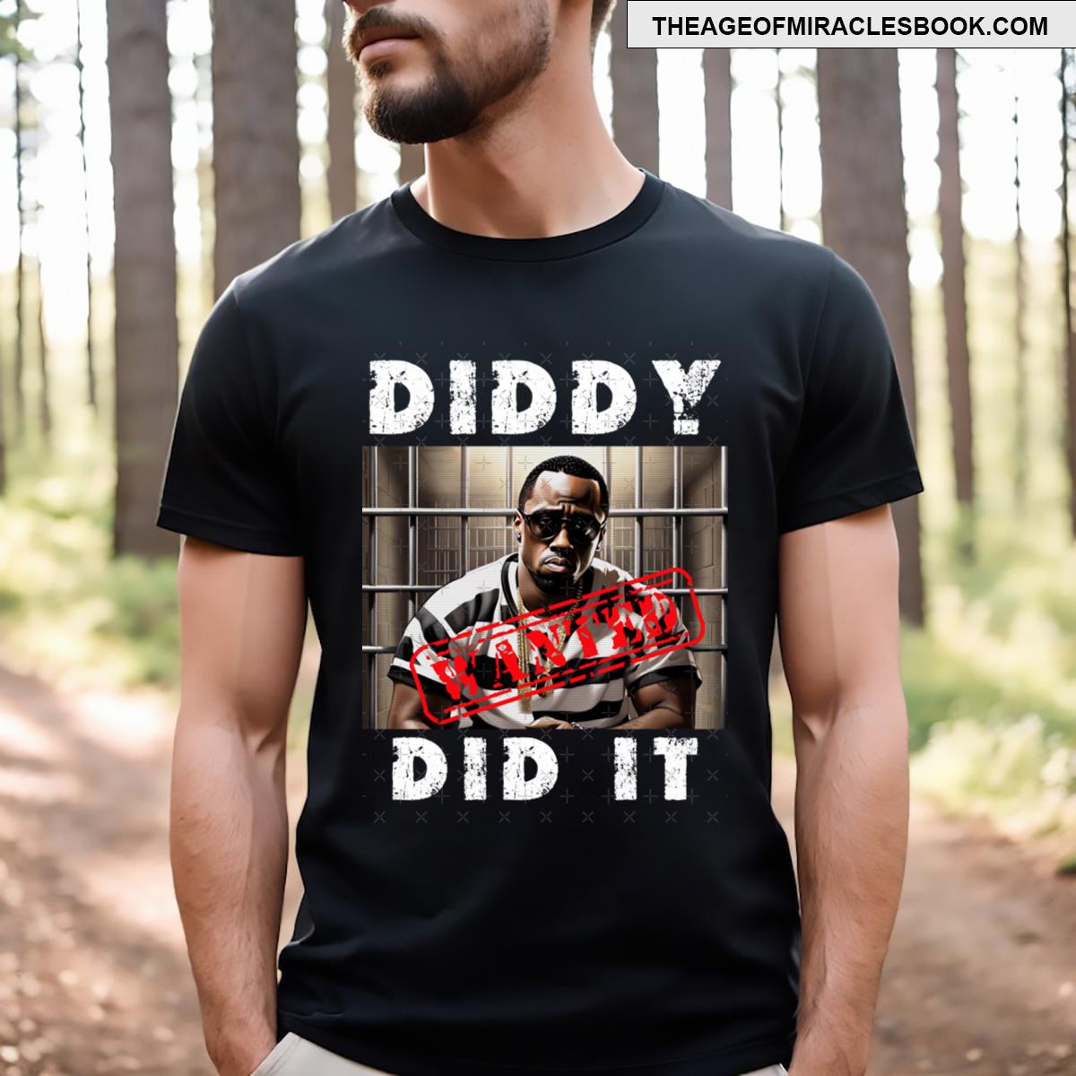 Diddy In Prison Diddy Did It T-shirt