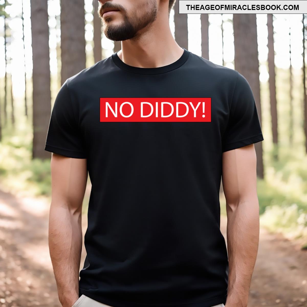 No Diddy Diddy Meme Pause No Diddy T-shirt
