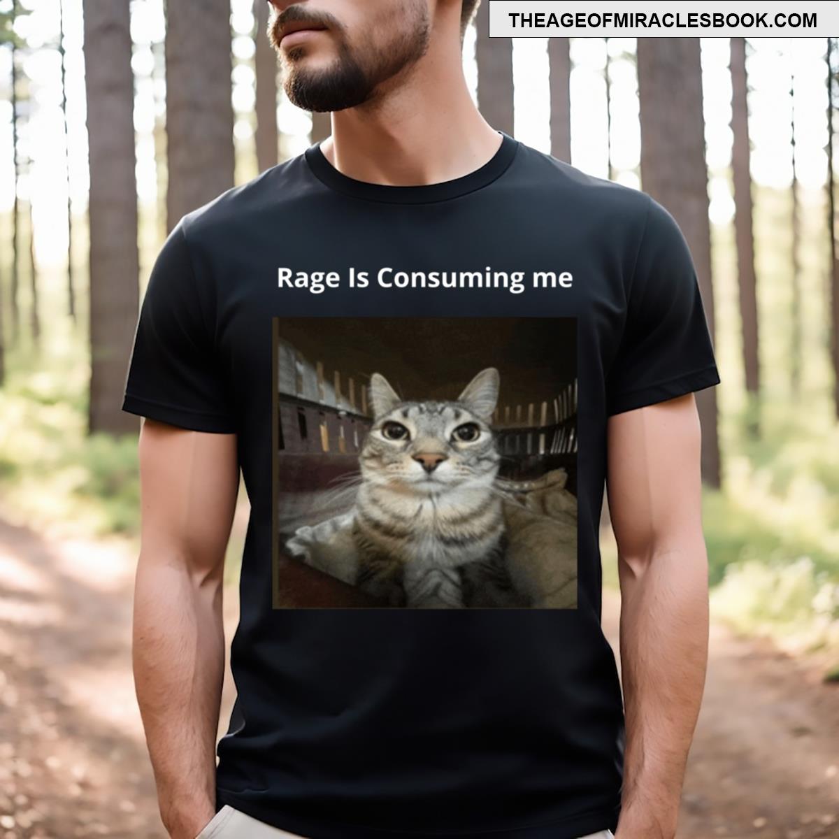 Rage Is Consuming Me Silly Staring Cat Meme T-shirt