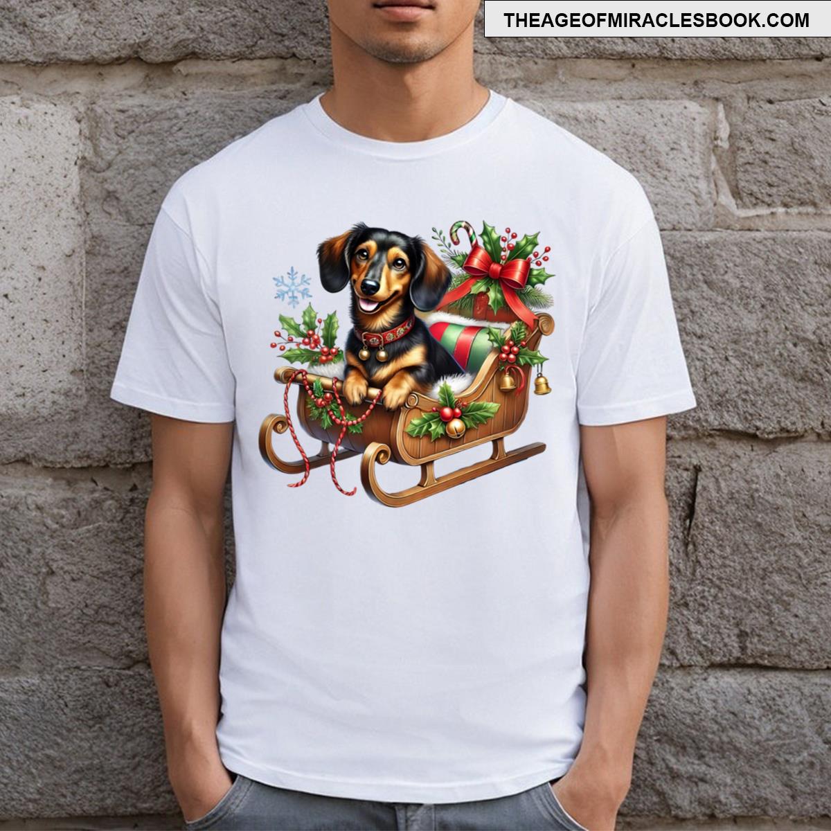 Dachshund In A Sleigh T-shirt