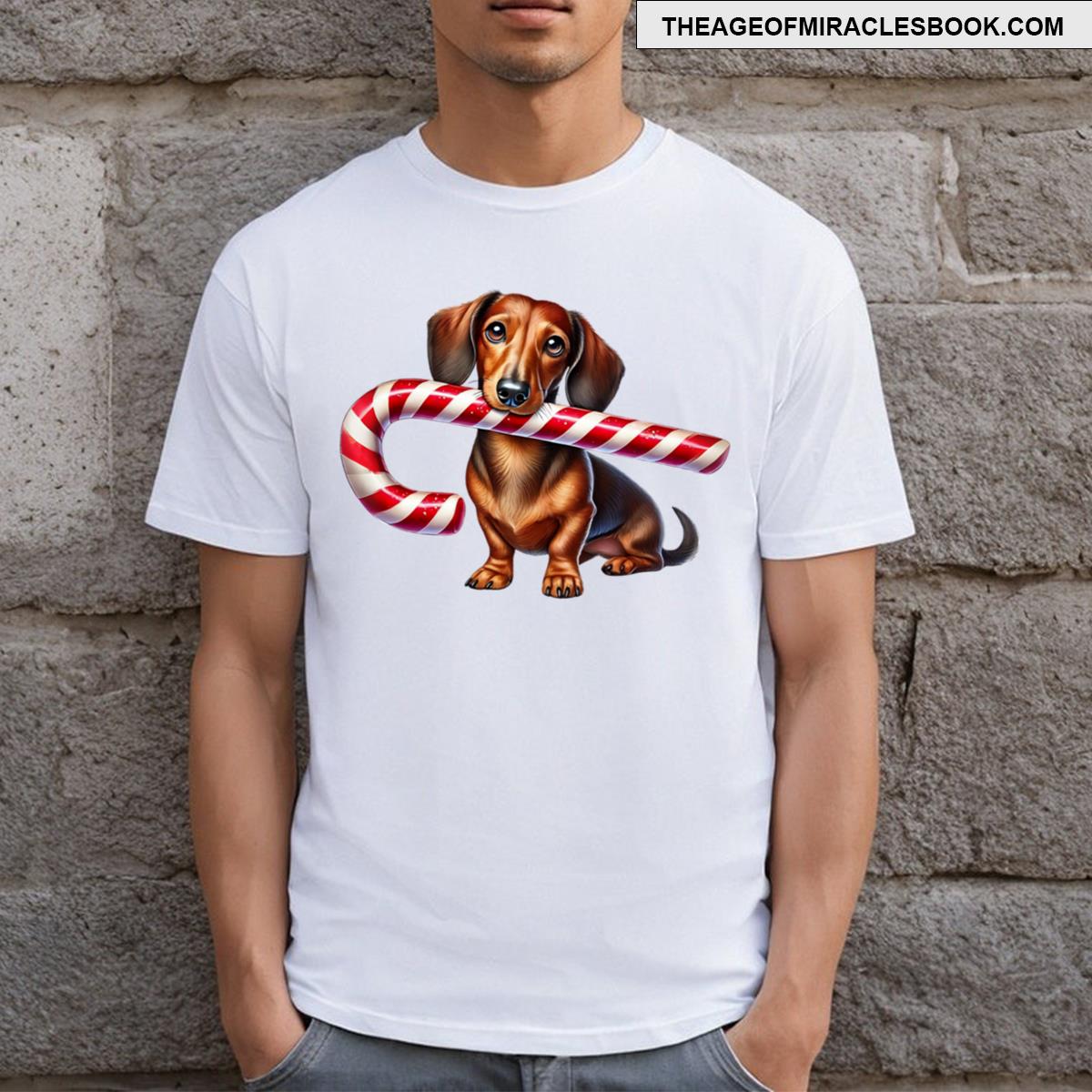 Dachshund With Candy Cane T-shirt