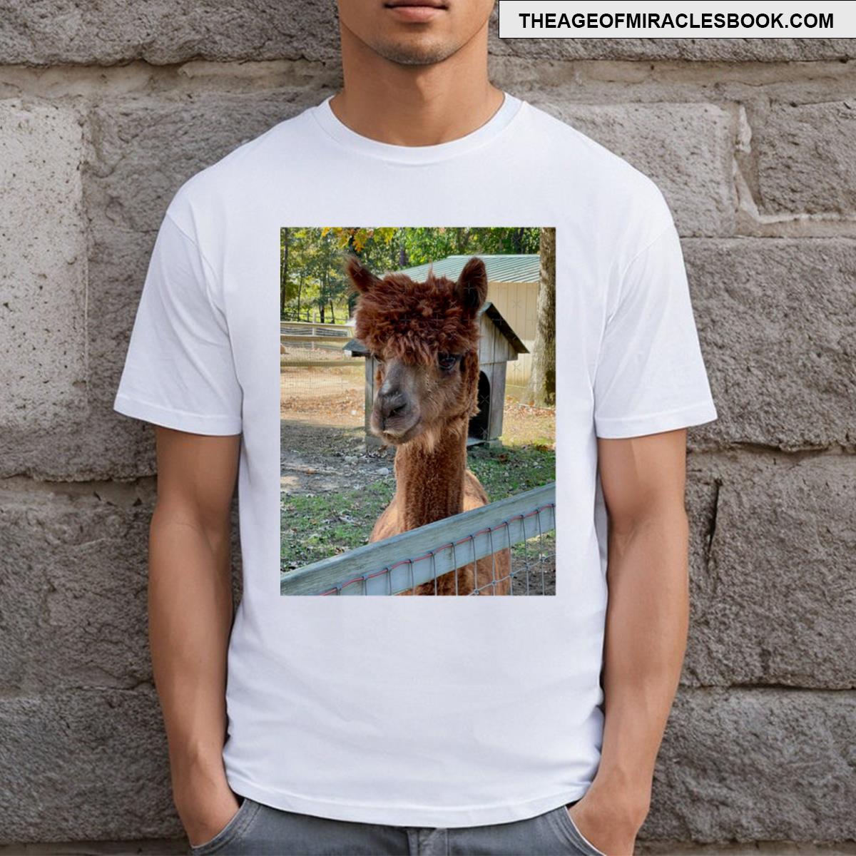 Alpaca T-shirt