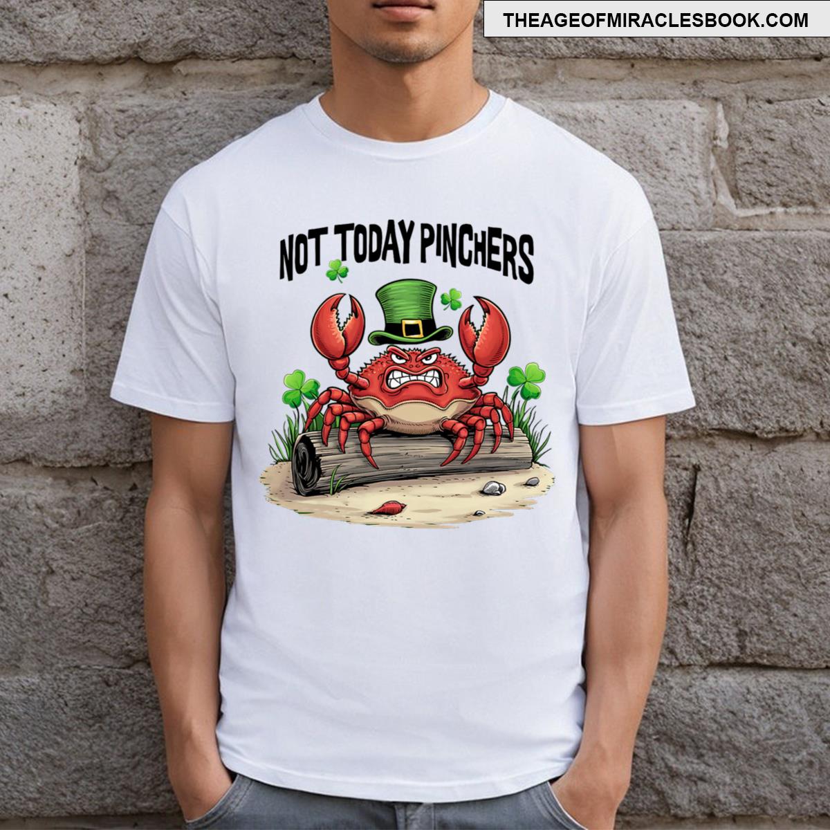 Not Today Pinchers Funny St Patrick’s Day Crab T-shirt Not Today Pinchers Funny St Patrick’s Day Crab T-shirt
