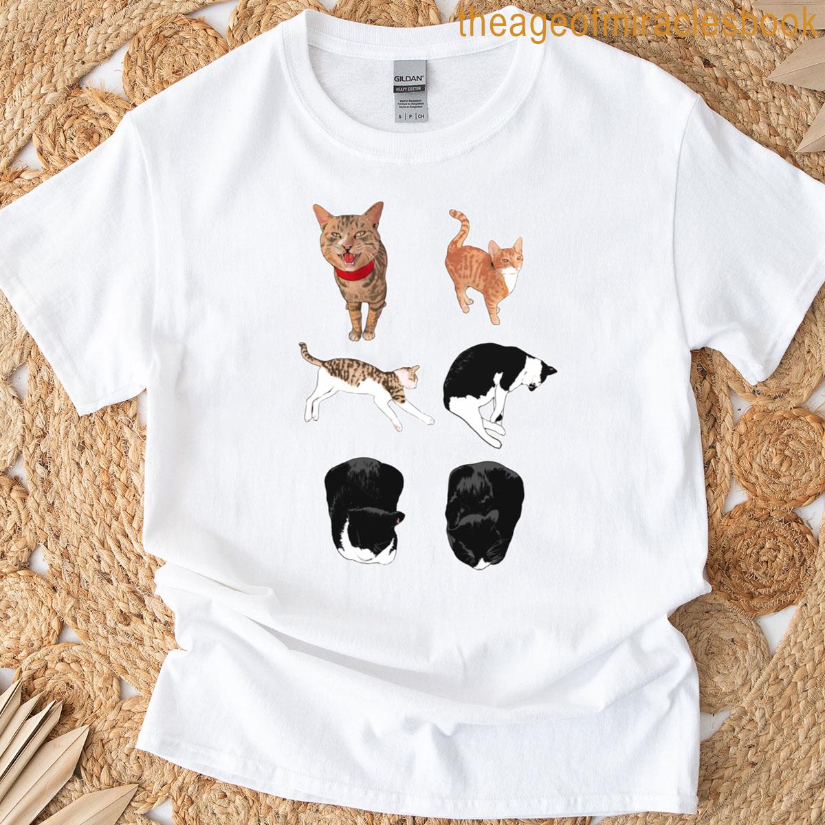 Cuty Stray Cat Image 4th T-shirt