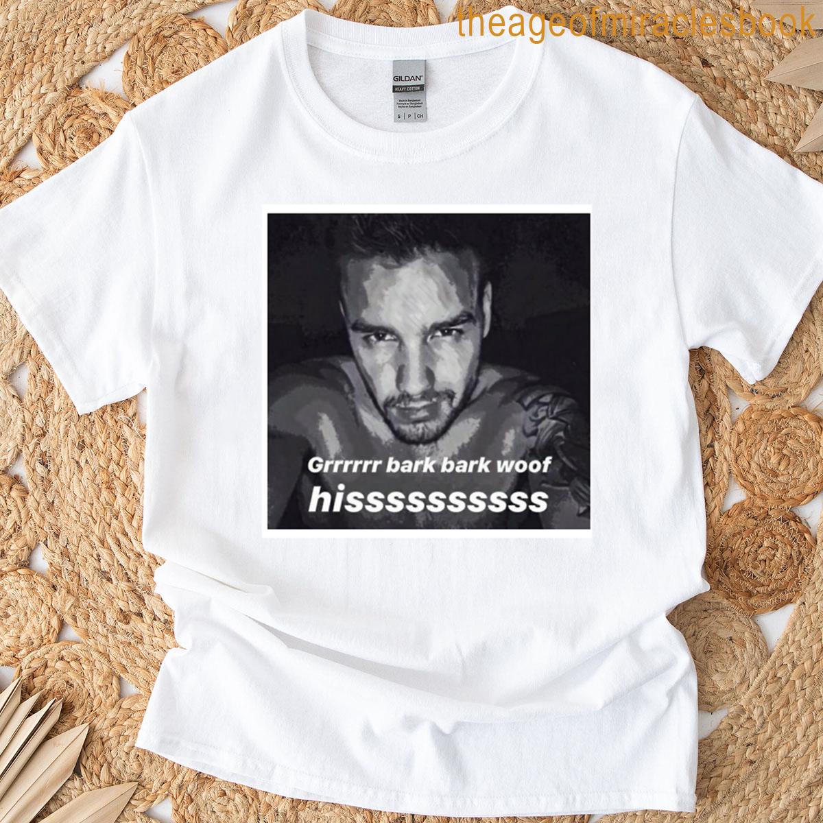 Liam Payne Meme T-shirt