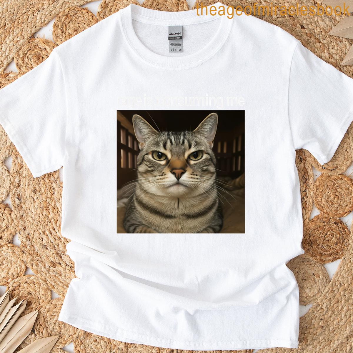 Rage Is Consuming Me Silly Staring Cat Meme T-shirt