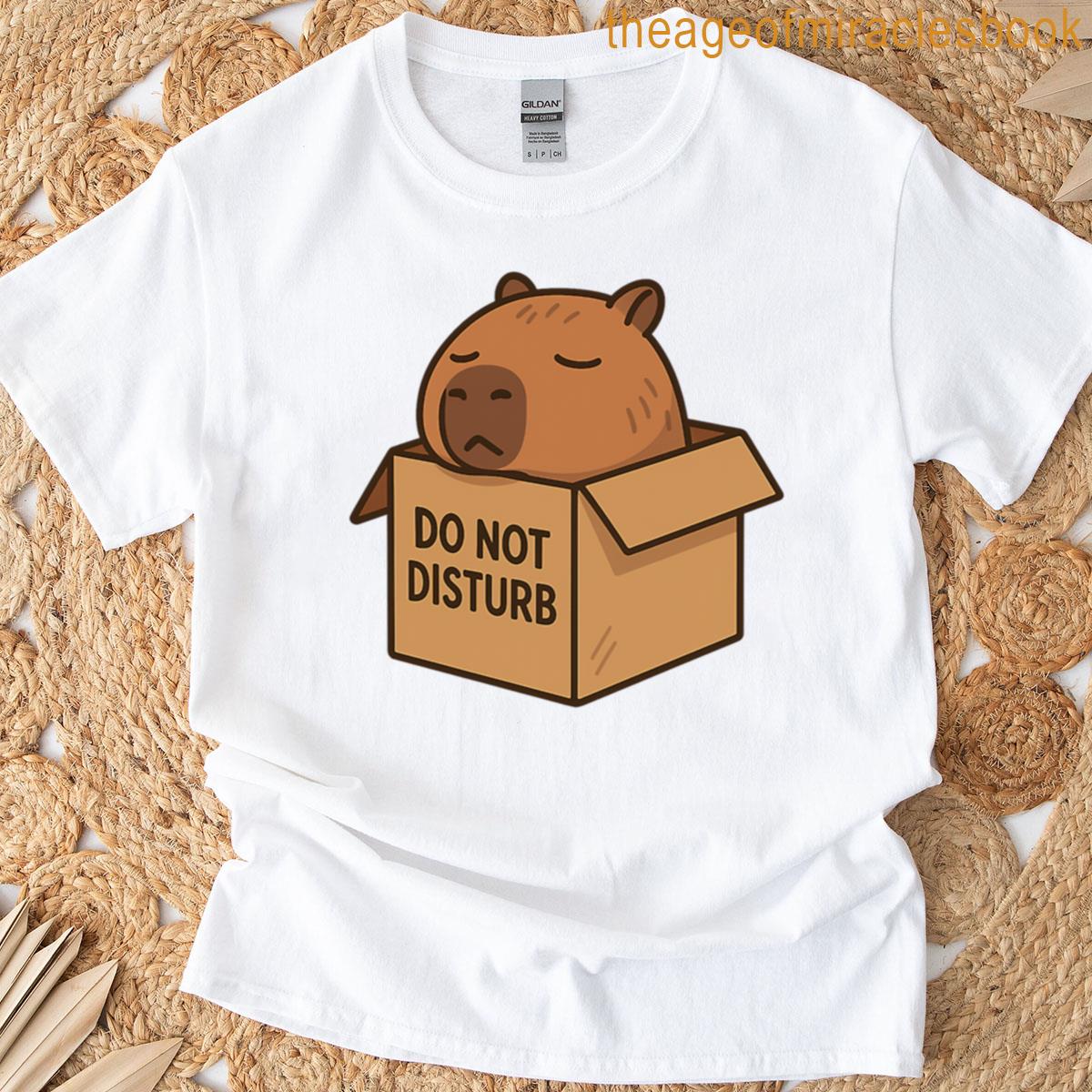 Shutdown Mode Do Not Disturb Capybara In Box Sticker T-shirt