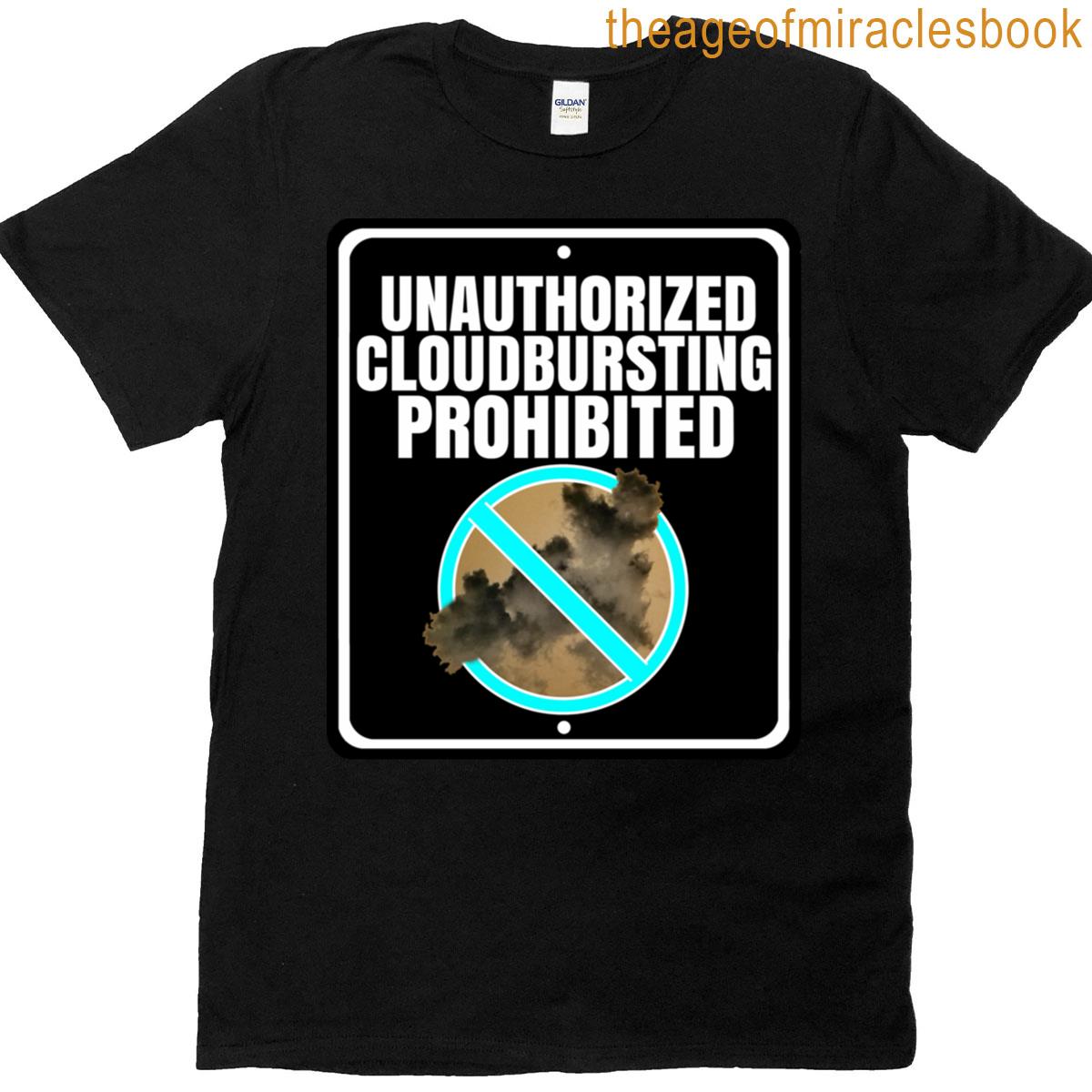 Unauthorized Cloudbursting Prohibited Inverted Oversized T-shirt