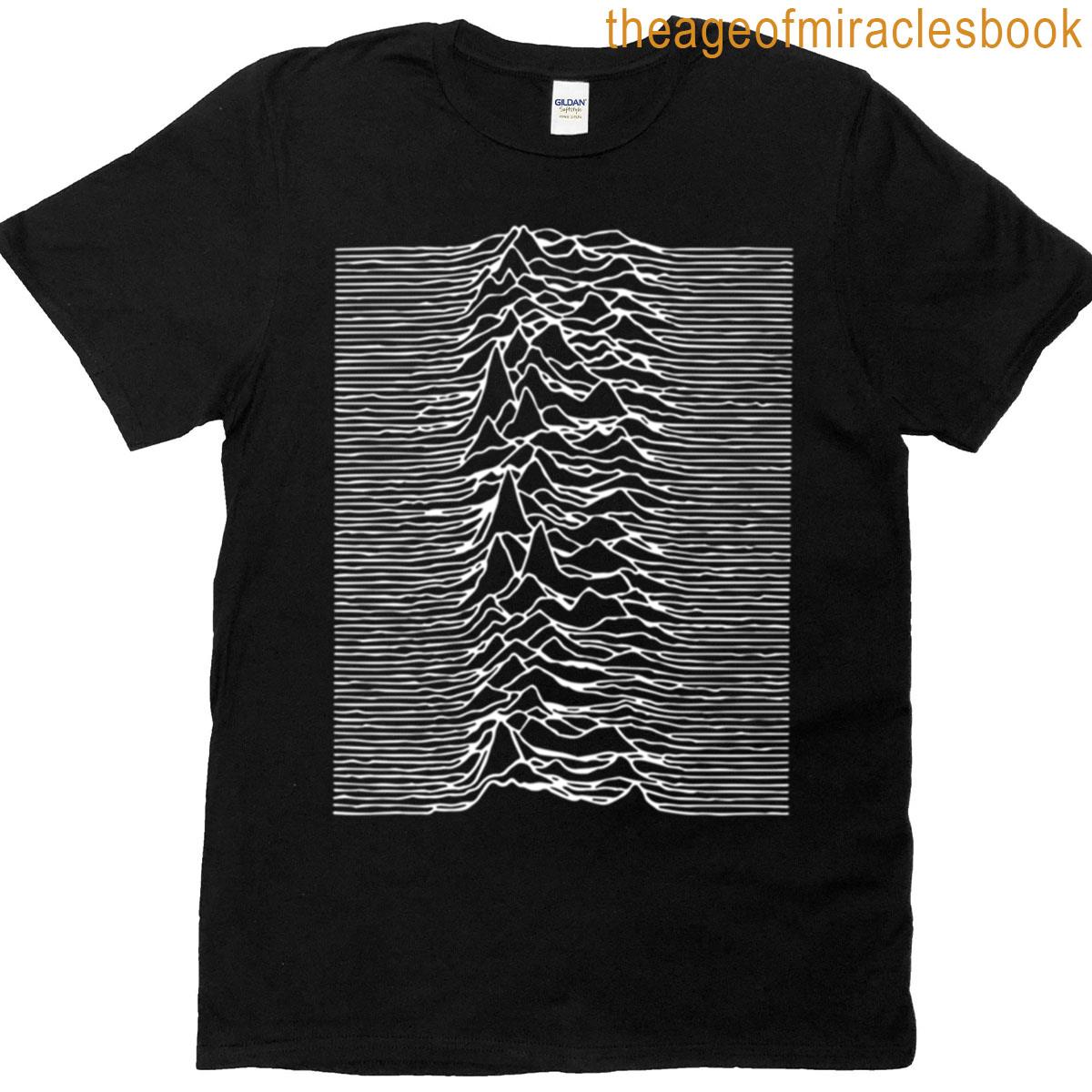Joy Unknown Pleasure Division T-shirt