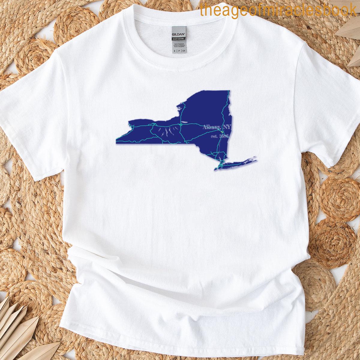 Albany Ny Blue Boxy T-shirt
