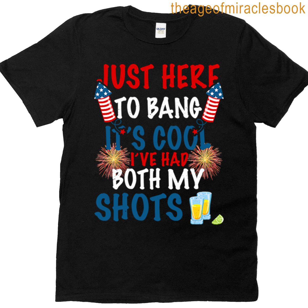 Just Here To Bang Its Cool Ive Had T-shirt