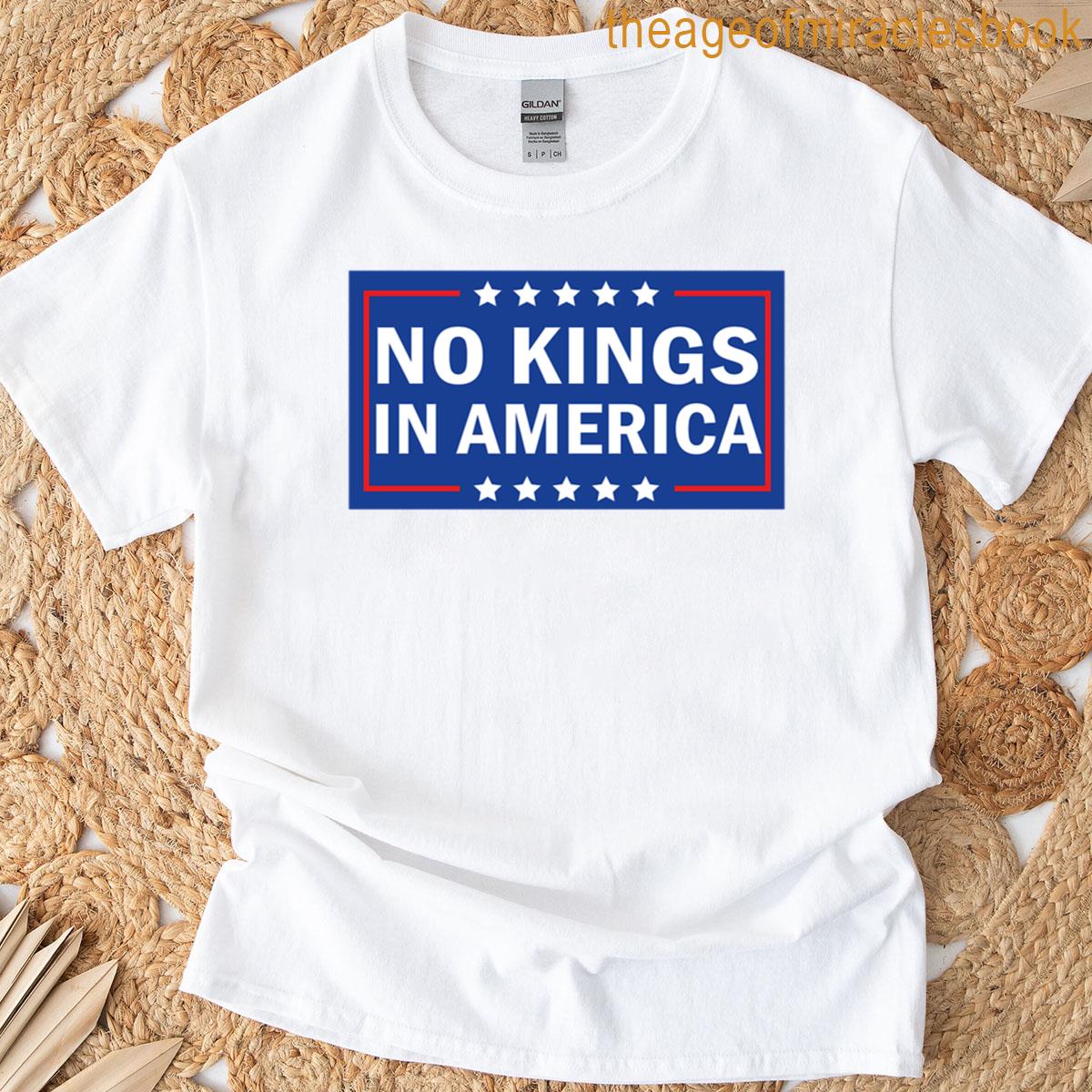 No Human Is Illegal On Stolenland T-shirt