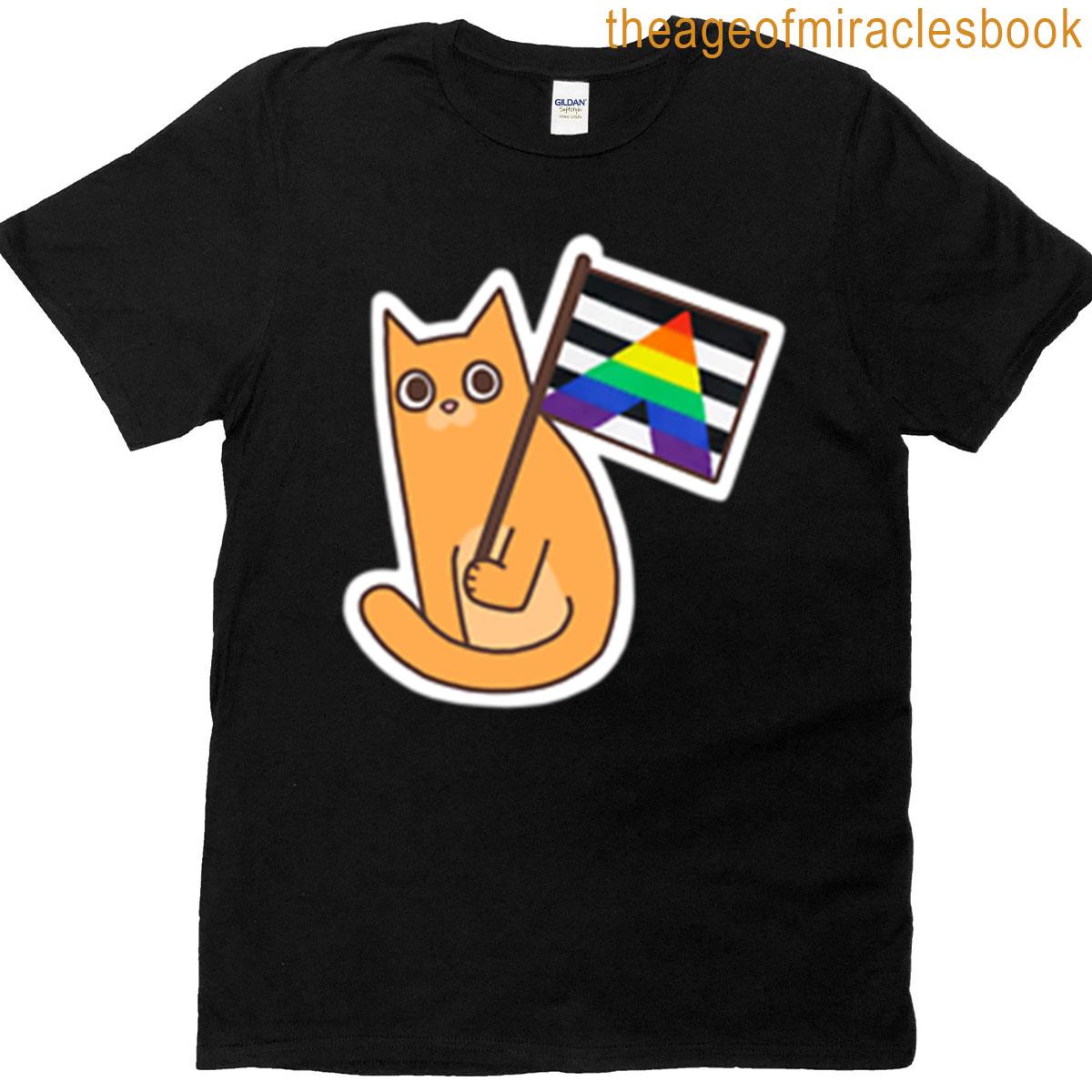Straight Ally Pride Flag Ginger Cat Sticker T-shirt