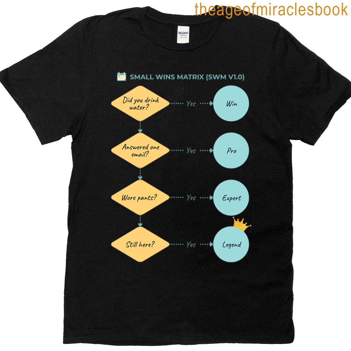 Small Wins Matrix Swm V10 Funny Process Flowchart T-shirt