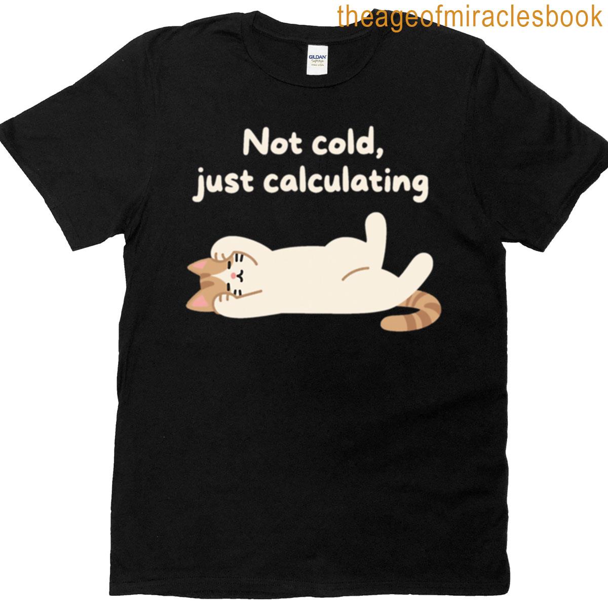 Not Cold Just Calculating Cat-text Design Oversized T-shirt