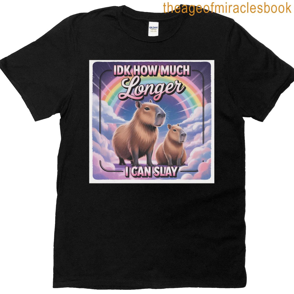 Idk How Much Longer I Can Slay T-shirt