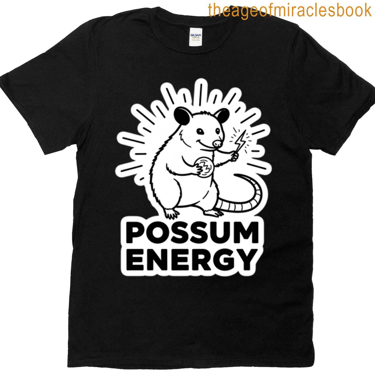 Possum Energy Sticker Oversized T-shirt