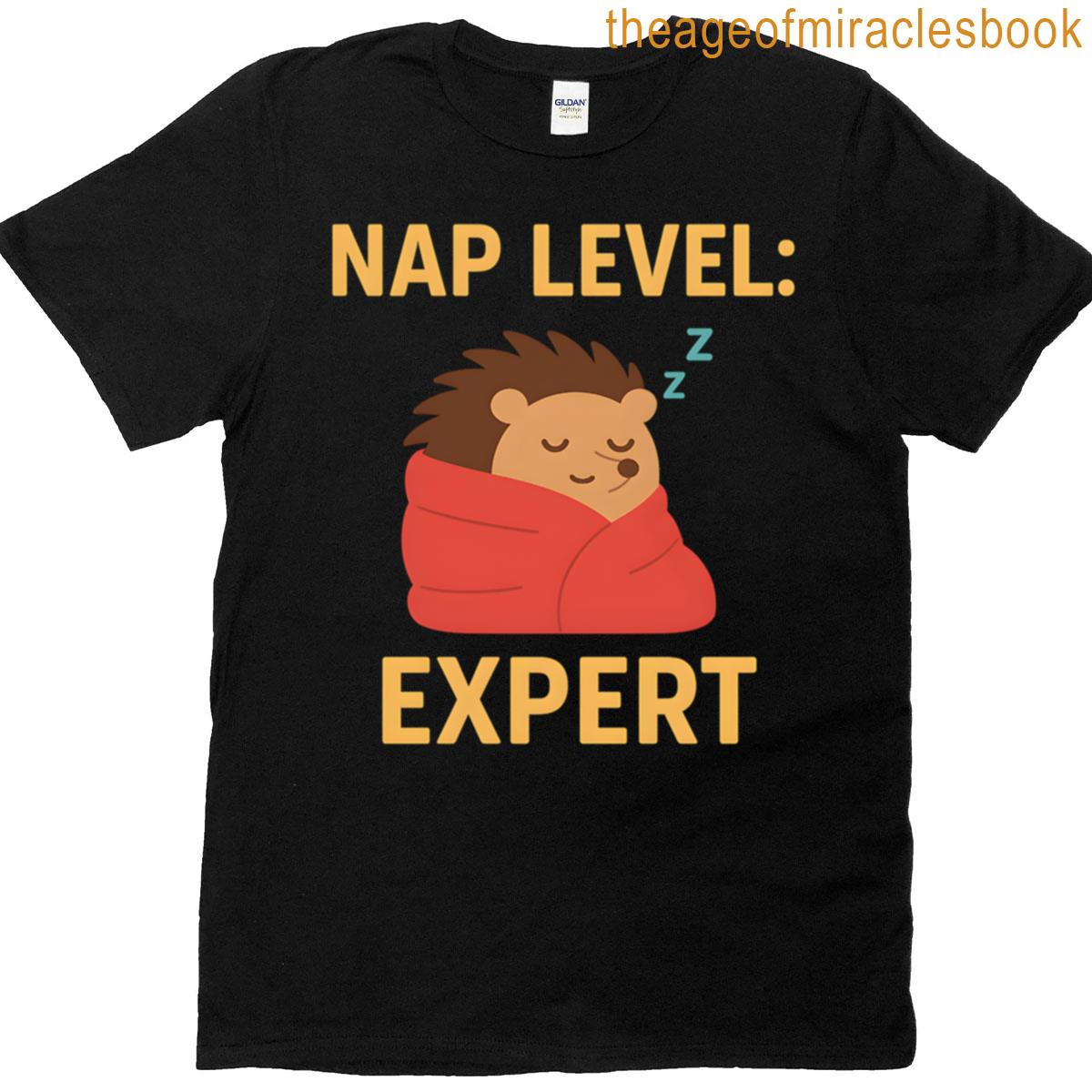 Nap Level Expert Oversized T-shirt