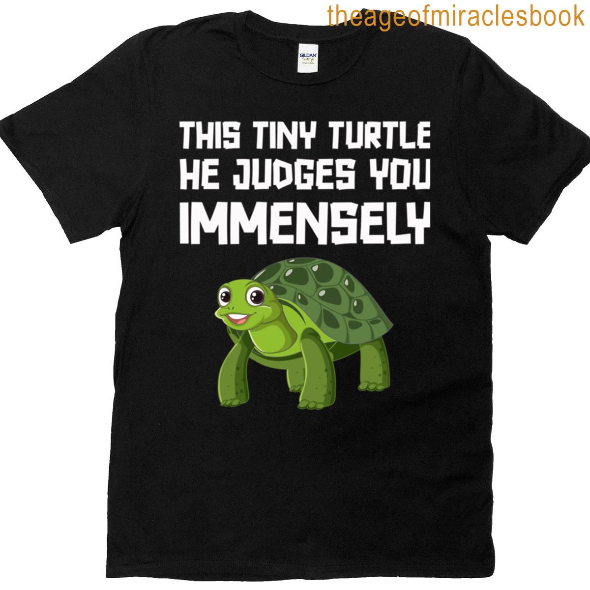 This Tiny Turtle He Judges You Immensely Boxy T-shirt