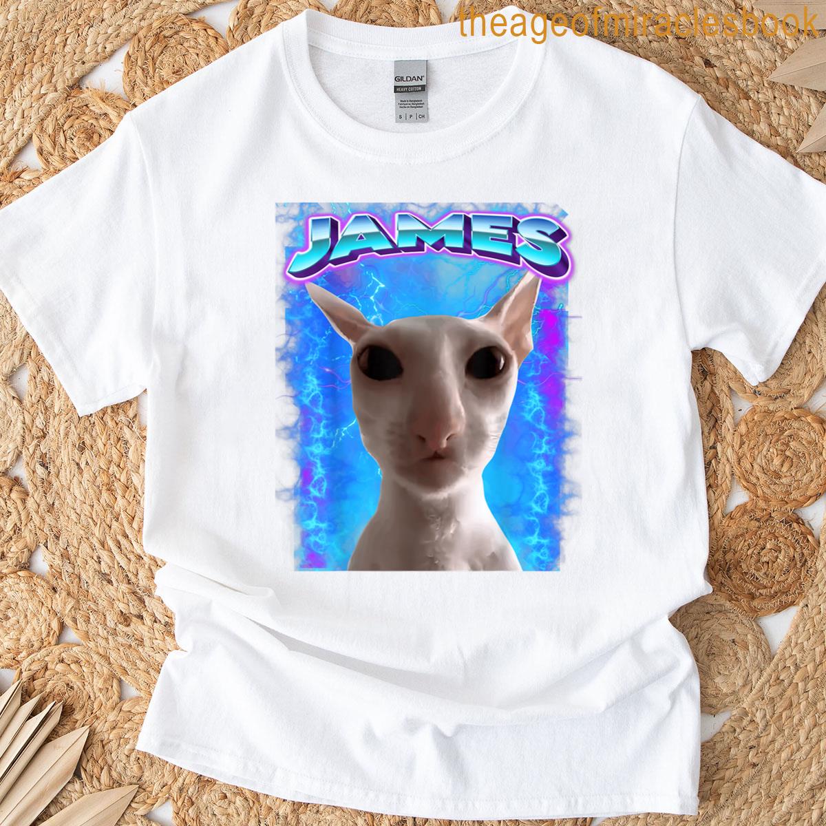 James Cat Meme Cursed Memes Brainrot Memes Oddly Specific T-shirt