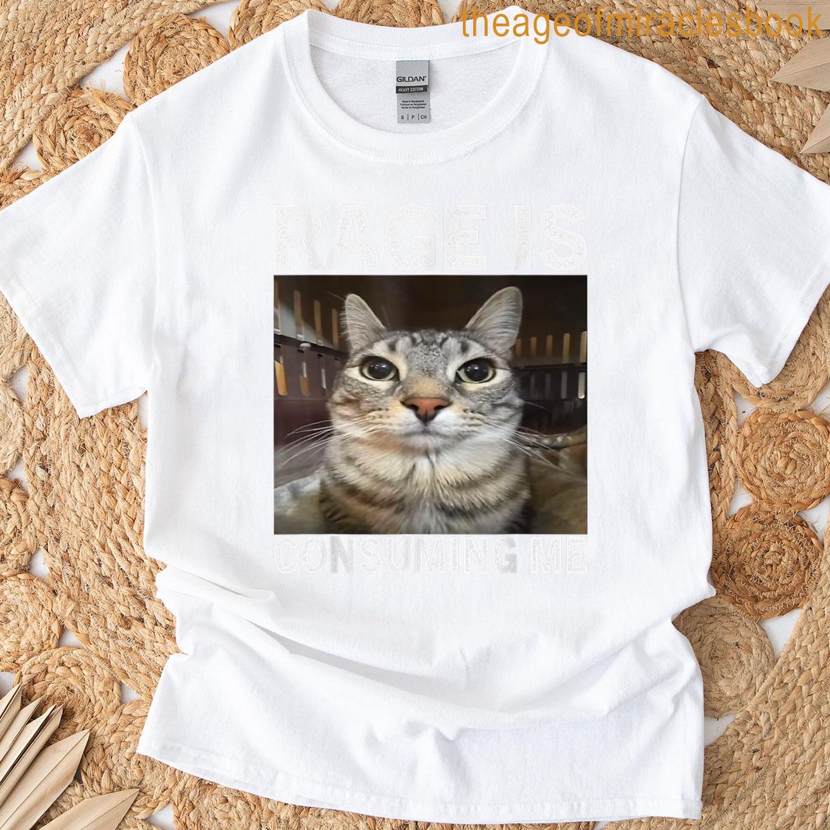 Rage Is Consuming Me Silly Staring Cat Meme T-shirt