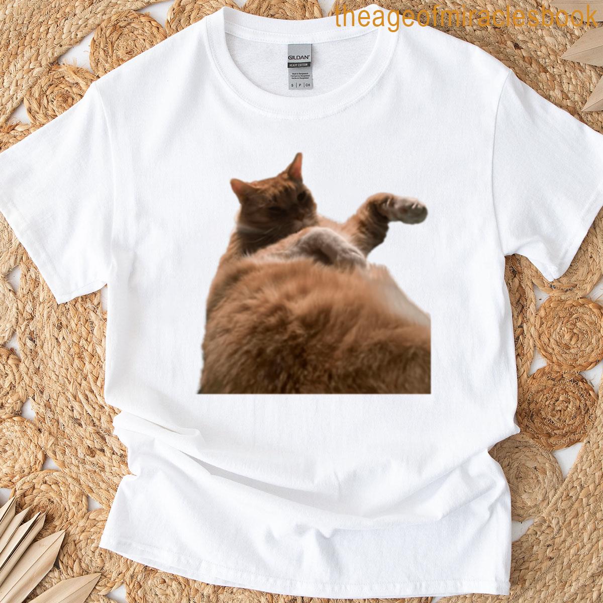 Confused Kitty T-shirt
