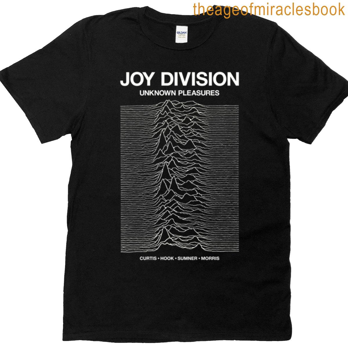 Unknown Pleasures Music Art T-shirt
