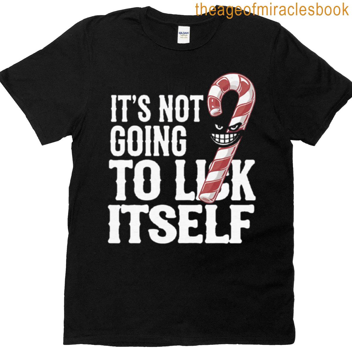 Inappropriate Christmas Rude T-shirt