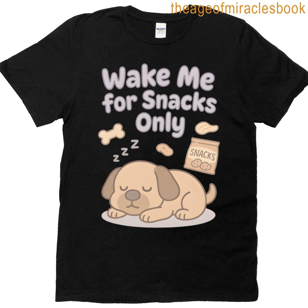 Wake Me For Snacks Only Oversized T-shirt