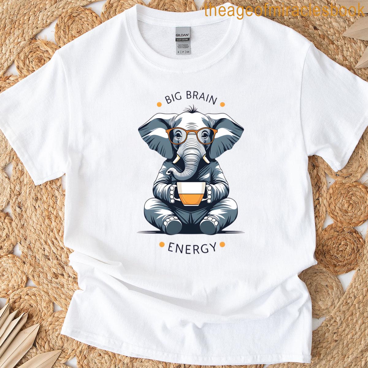 Big Brain Energy T-shirt