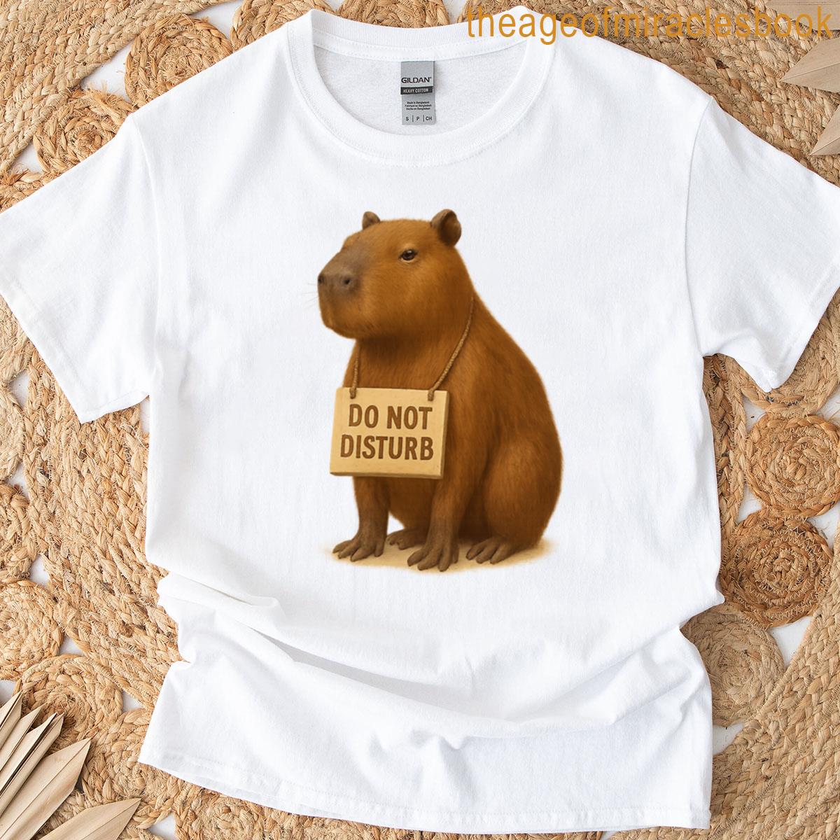 Capybara Do Not Disturb Oversized T-shirt
